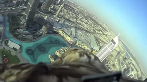 What flight looks like from an eagles' perspective