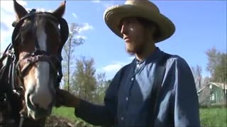 2 Gardening with Horses - Plow and Disk