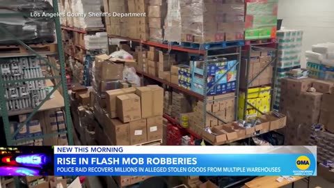 Millions of dollars of allegedly stolen goods recovered