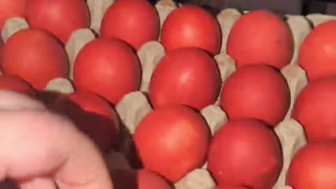 🟠 Coloring red eggs for Easter