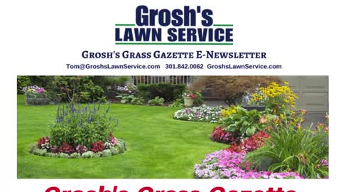 The Best Lawn Mowing Service Hagerstown Maryland