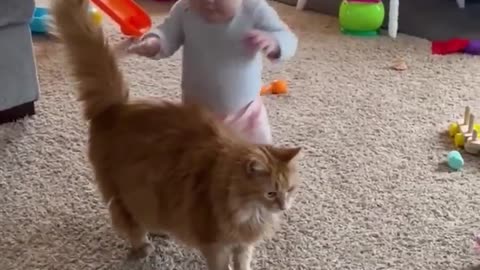 Cat Help Baby Take Frist Steps