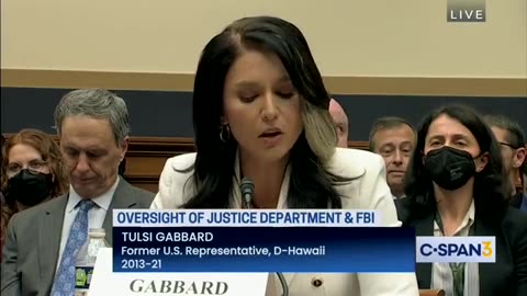 Tulsi Gabbard Calls Out Mitt Romney for Accusing Her of Treason