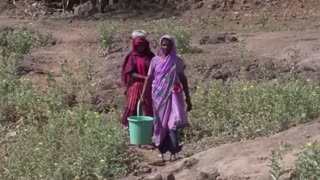 Indian villagers draw water from dirty pond amid shortage