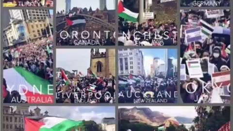 Student support of Palestine.
