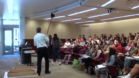 Math Professor breaks projector chasing a moth (April Fool's Prank)