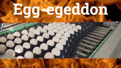 Egg-egeddon Part Two