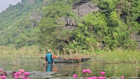 Ninh Bing au Vietnam