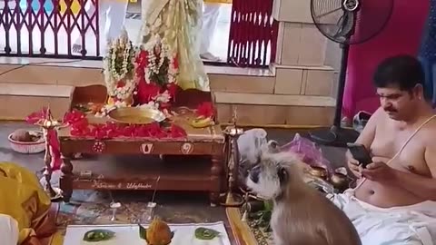 Ramuni kalyanam