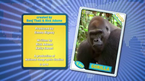 Gorilla Fun Facts