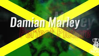 Damian Marley | Perfect Picture