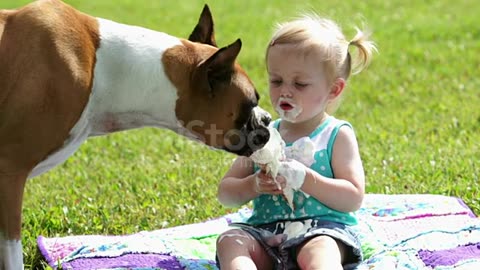 A dog and icecream girl