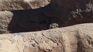 Casa Grande dating back 700 years in the Arizona desert 2/5/23 near Phoenix