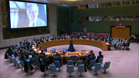 ROGER WATERS (PINK FLOYD) SPEECH AT A MEETING OF THE UN SECURITY COUNCIL