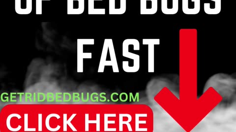 How To Get Rid Of Bed Bugs Fast