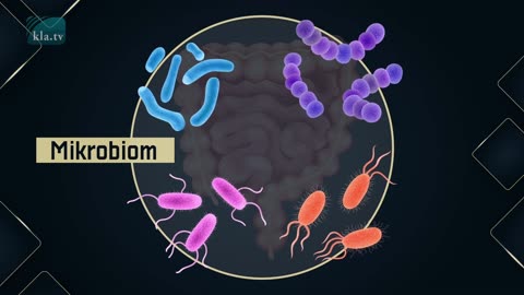 Will Covid-19 be followed by a tuberculosis pandemic.... – and will antibiotics no longer help?