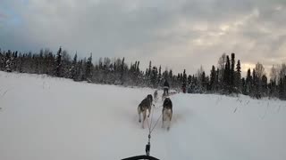 21 Days Winter Camping & Adventure in Alaska - Primitive Camping, Hiking Glaciers & Dog Sledding