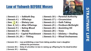 The Law of Yahweh God in Genesis BEFORE Moses || Before The Israelites and Jews ~ Torah Before Moses
