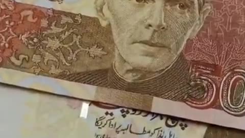 How much money does Pakistan earn daily between taxes?