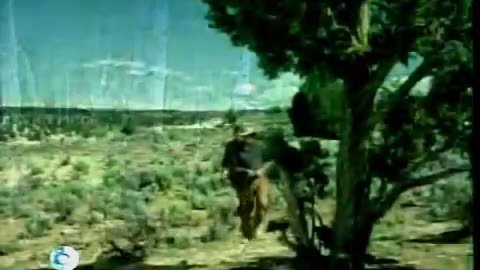 Daniel Boone - Vídeo 17