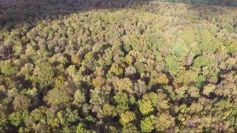 Sherwood Forest - Meeting at the Major Oak - Fracking and the Charter of the Forest