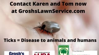 Ticks Hagerstown Maryland Lawn Care Treatments