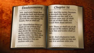 Deuteronomy Ch13-14