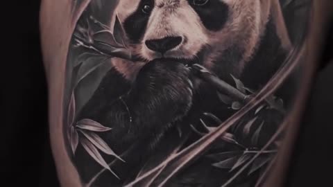 Panda Tattoo - Jose Contreras in TEXAS!