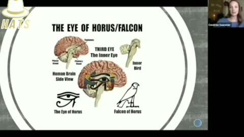A Background To The Pineal Gland - HATS TRUTH
