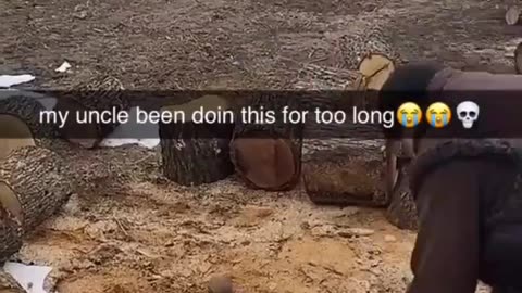 A great use of a used tire to smack wood