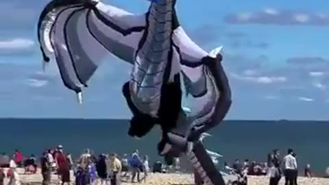 The best dragon kite
