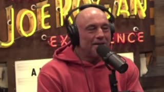 Joe Rogan Calls The View A 'Rabies Infested Henhouse'