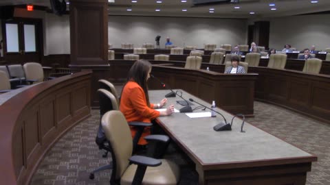 Arkansas GOP official Jennifer Lancaster speaks in favor of SB43