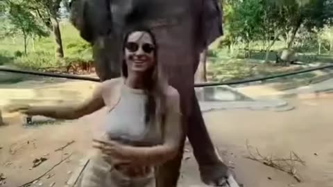 Elephant Dancing with Girl