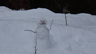 Snowman