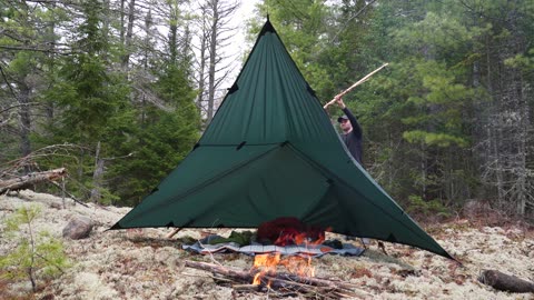 Camping Alone in a Bog