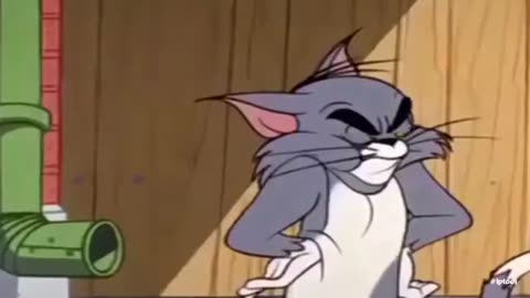 Tom and Jerry lastest Cartoon 2020 1#