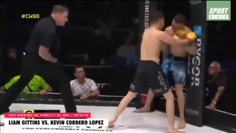 UFC Brutal KO's Compilation