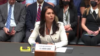 Tulsi Gabbard: "We have individuals in our government often working through their arms in the mainstream media and big tech ... trying to control what we the people are allowed to see and say under the guise of protecting us from so-called 'misi