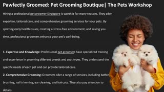 Pawfectly Groomed: Pet Grooming Boutique| The Pets Workshop