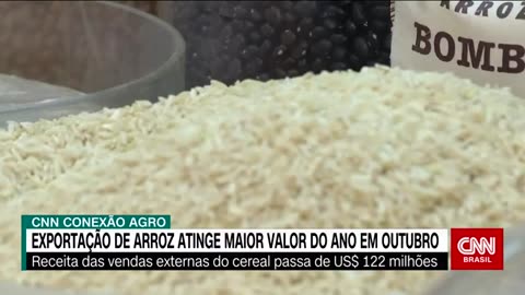 Conexão Agro: Exportação de Arroz atinge maior valor do ano em outubro.