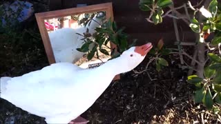 🦢Checking in on Jeffery @Smith's Gardentown