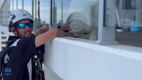 Window Cleaner Stops to Pet Dog on High Rise Building