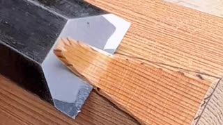 Most satisfying video of the day