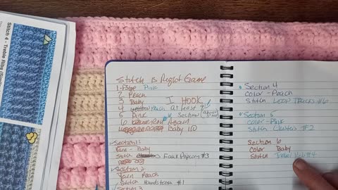 The Stitch Is Right Crochet Game Section 5