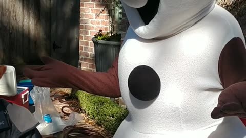 Rock Troll Home game with Olaf the snowman at a birthday party in Houston Texas