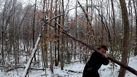 1 Year in Log Cabin Survival Shelter (Building, Camping, Repairing Bushcraft Shelter)