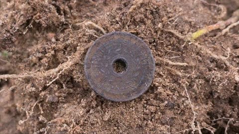 Australia's Raerest Coins Metal Detecting & Coin Collecting