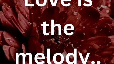 Love is the melody #shorts#viral#facts