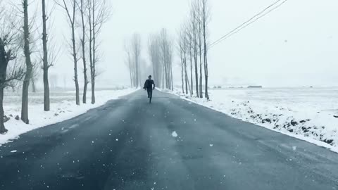 The road in snow is beautiful